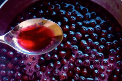 Sirup od aronije